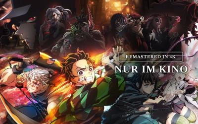 Demon Slayer Kimetsu no Yaiba Zum Training der Säulen