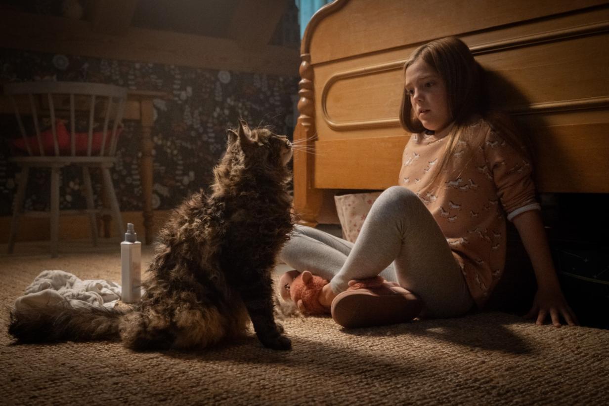 Die 22 besten Horrorfilme auf Amazon Prime film.at