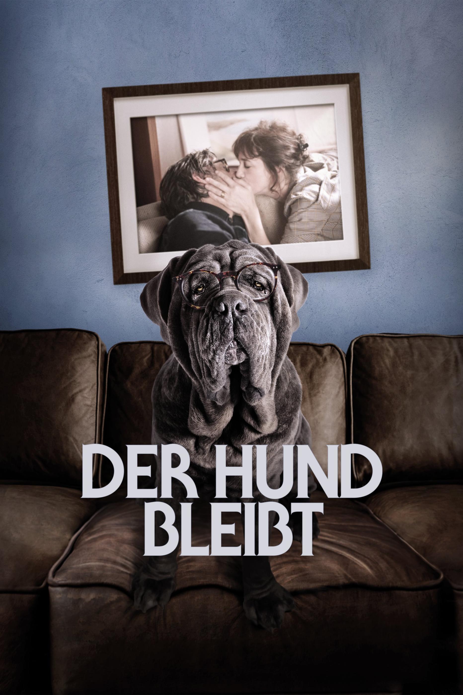 Der Hund Bleibt