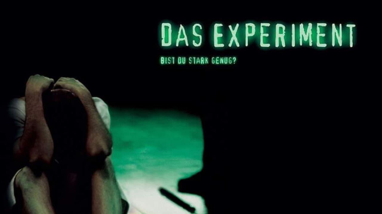 das experiment fragen zum film