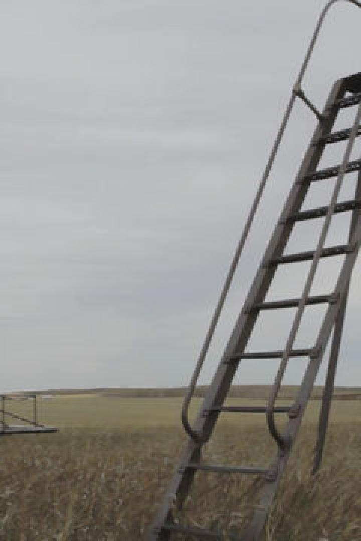 Eine verlassene Rutsche und ein Karussell stehen auf einem Feld mit hohem Gras.