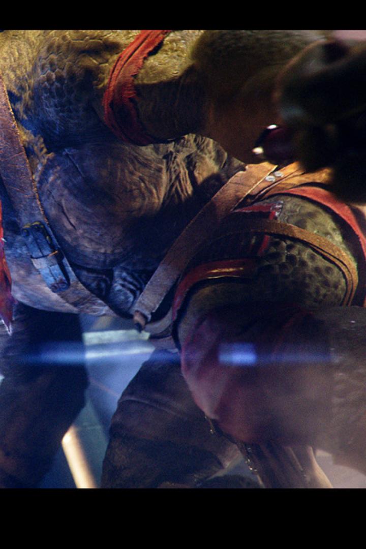 Raphael von den Teenage Mutant Ninja Turtles mit gezückten Sai in Kampfhaltung.