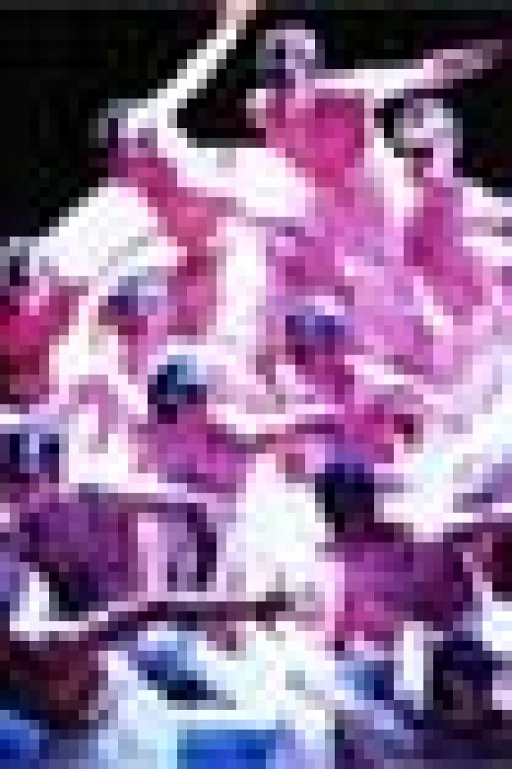 Eine Gruppe von Tänzern in rosa Kostümen führt eine synchrone Choreografie auf.