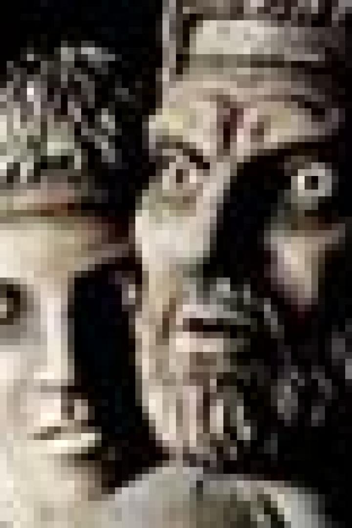 Zwei Statuen, eine mit einem jungen und eine mit einem älteren, bärtigen Gesicht.