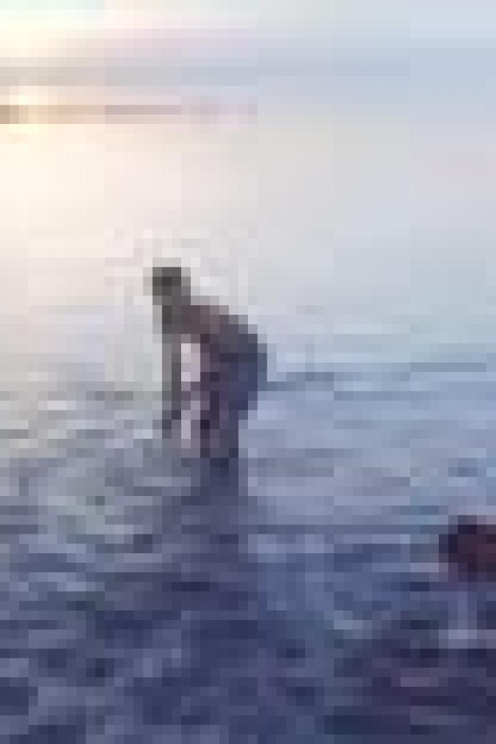 Zwei Personen stehen im flachen Wasser, möglicherweise bei Sonnenaufgang oder -untergang.