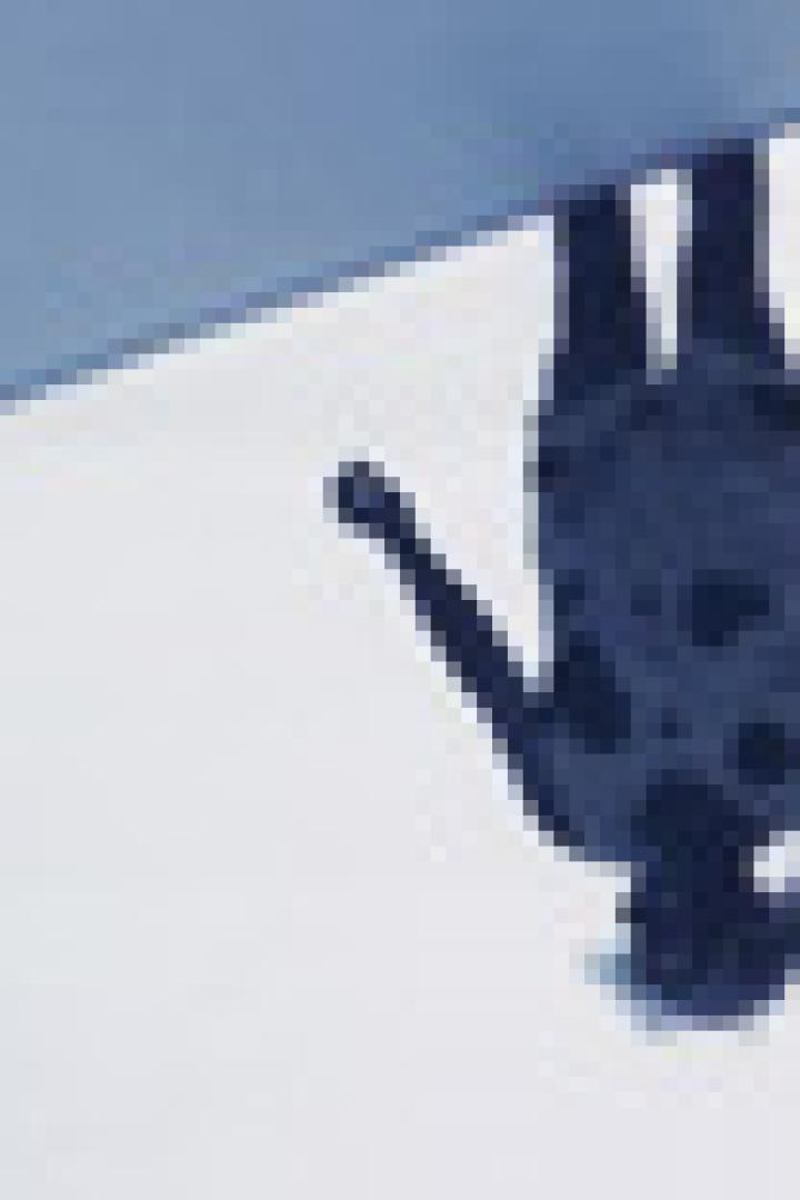 Eine Person steht unter einem blauen Schild.