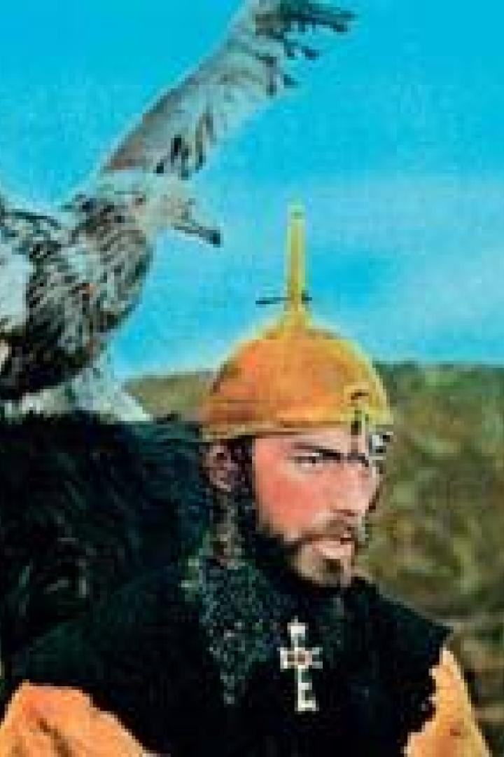 Ein Mann mit Bart und Helm mit einem großen Vogel auf seiner Schulter.
