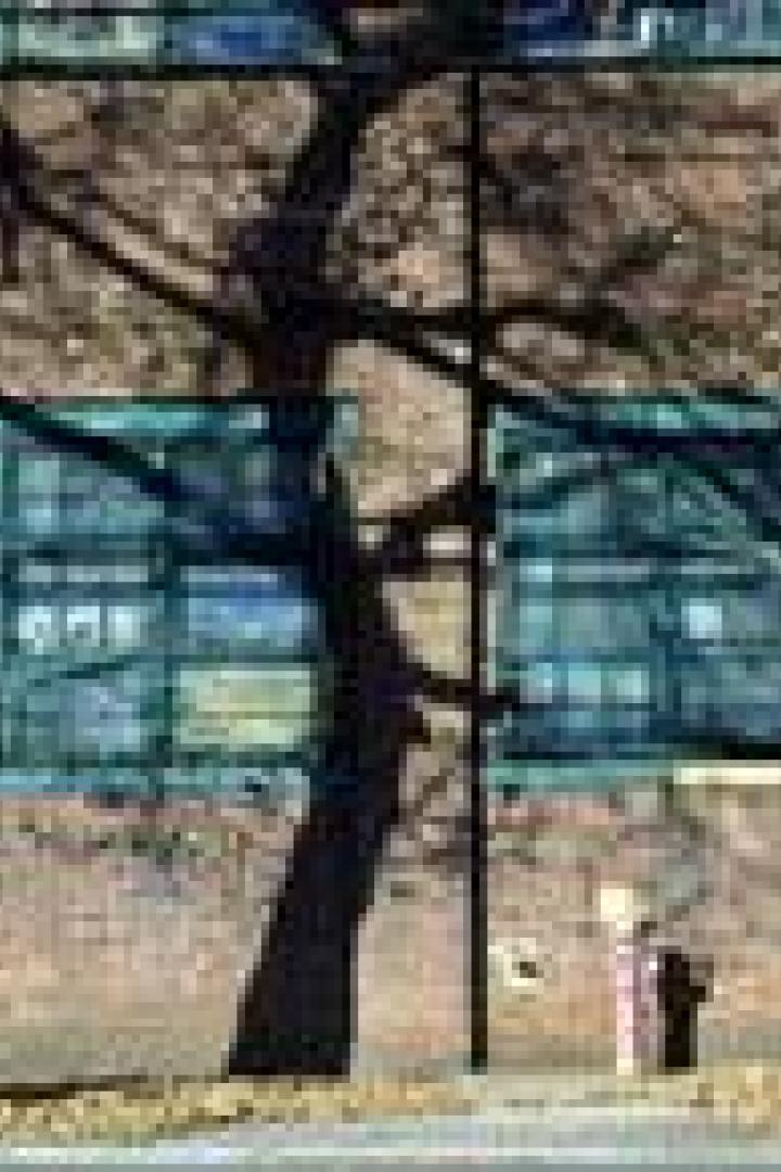 Ein Backsteingebäude mit zwei großen Fenstern, teilweise von einem Baum verdeckt.