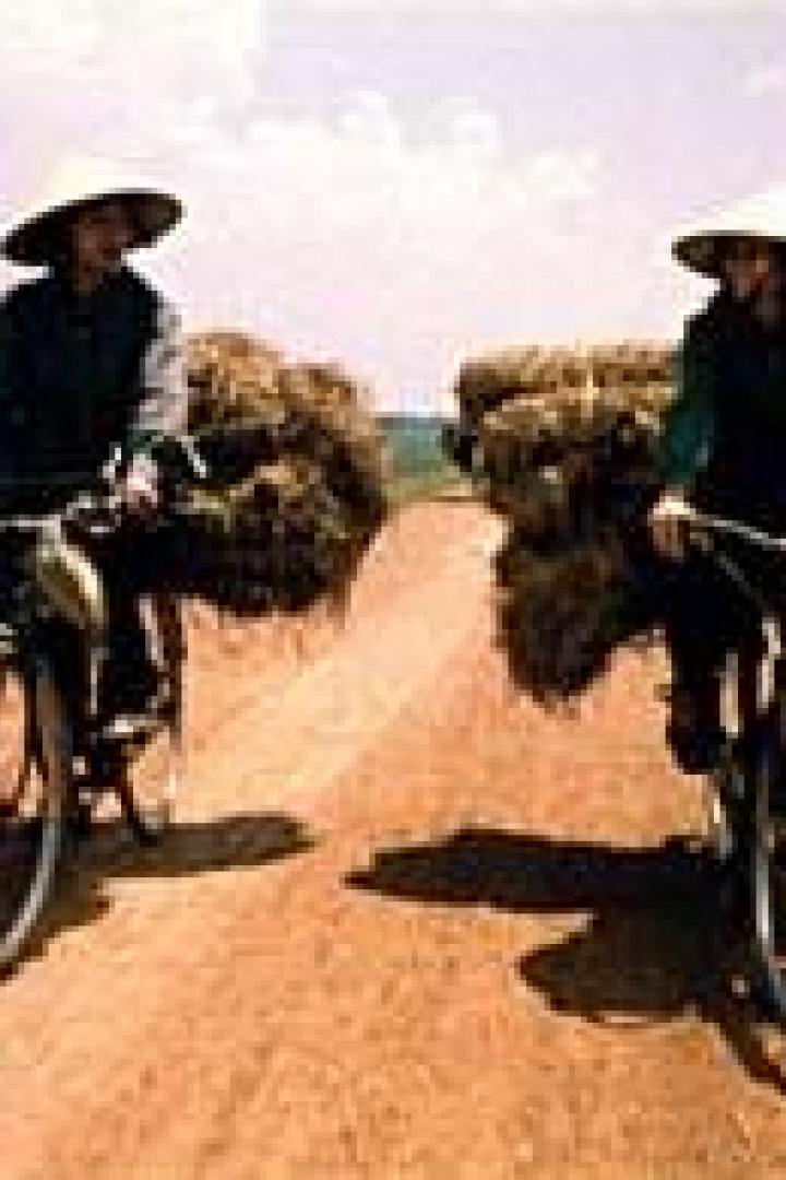 Zwei Frauen mit Kegelhüten fahren mit Fahrrädern und Heuballen auf einem Feldweg.