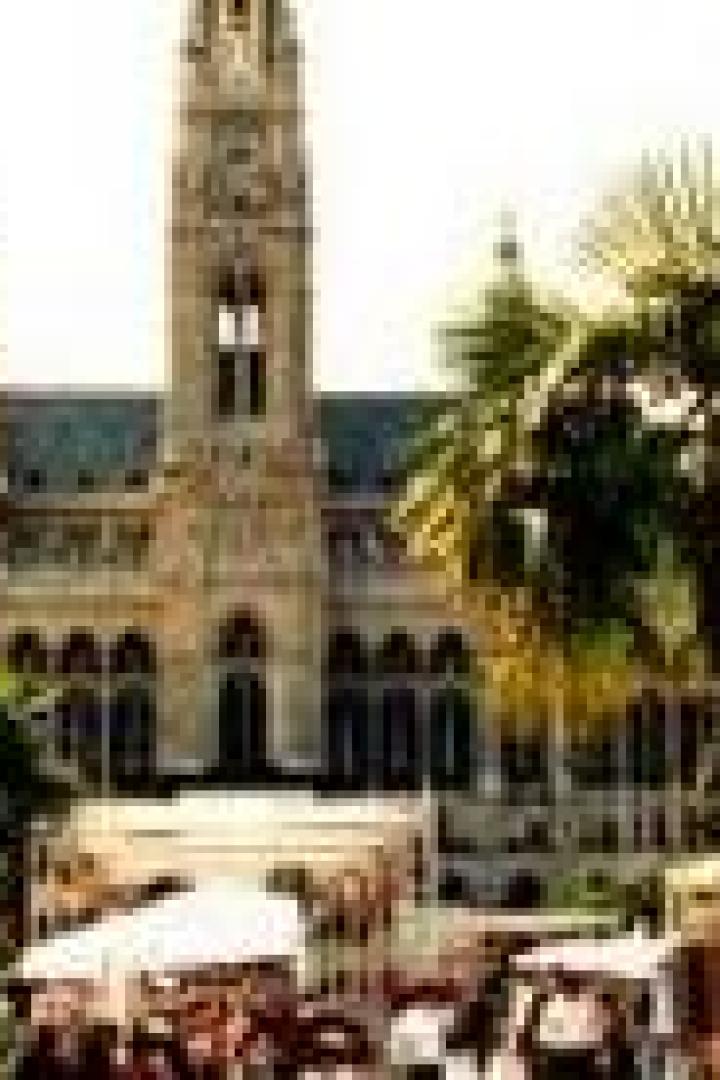 Das Wiener Rathaus mit einem belebten Platz im Vordergrund. Das Wiener Rathaus mit einem belebten Platz im Vordergrund.