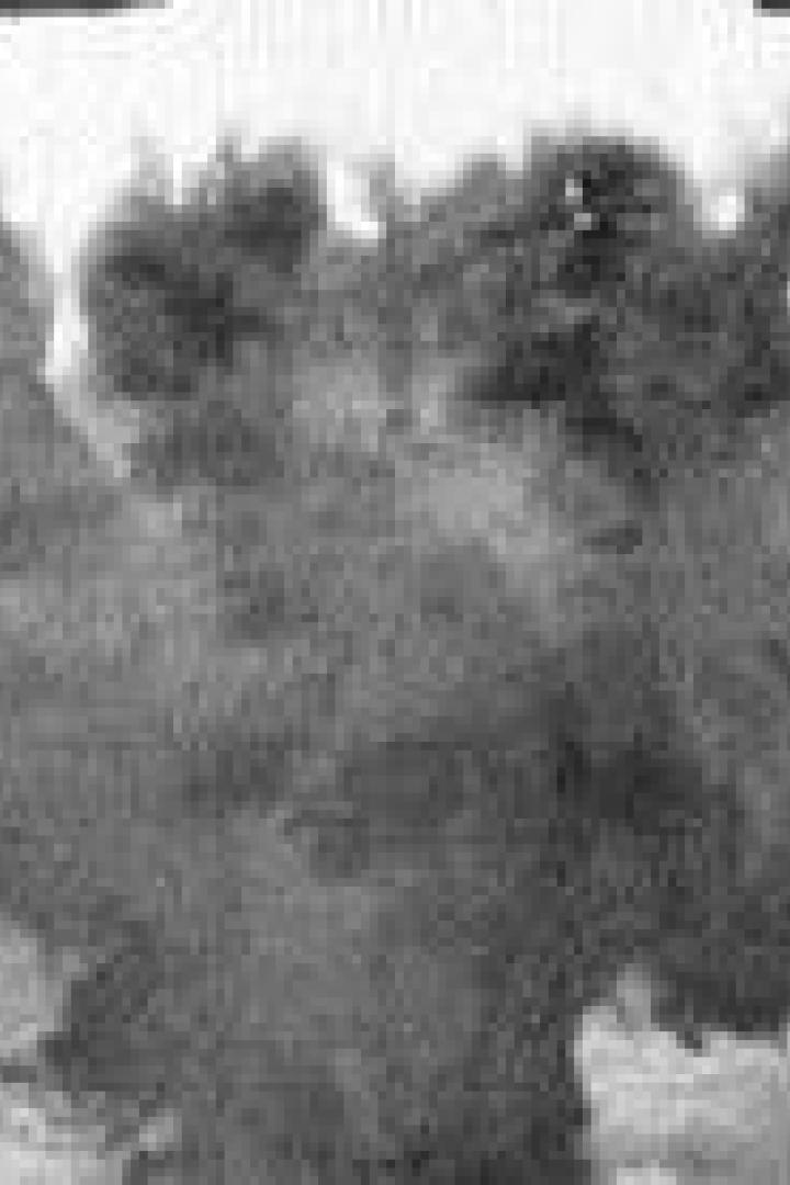 Eine große Rauchwolke, möglicherweise eine Atomexplosion, steigt in den Himmel.