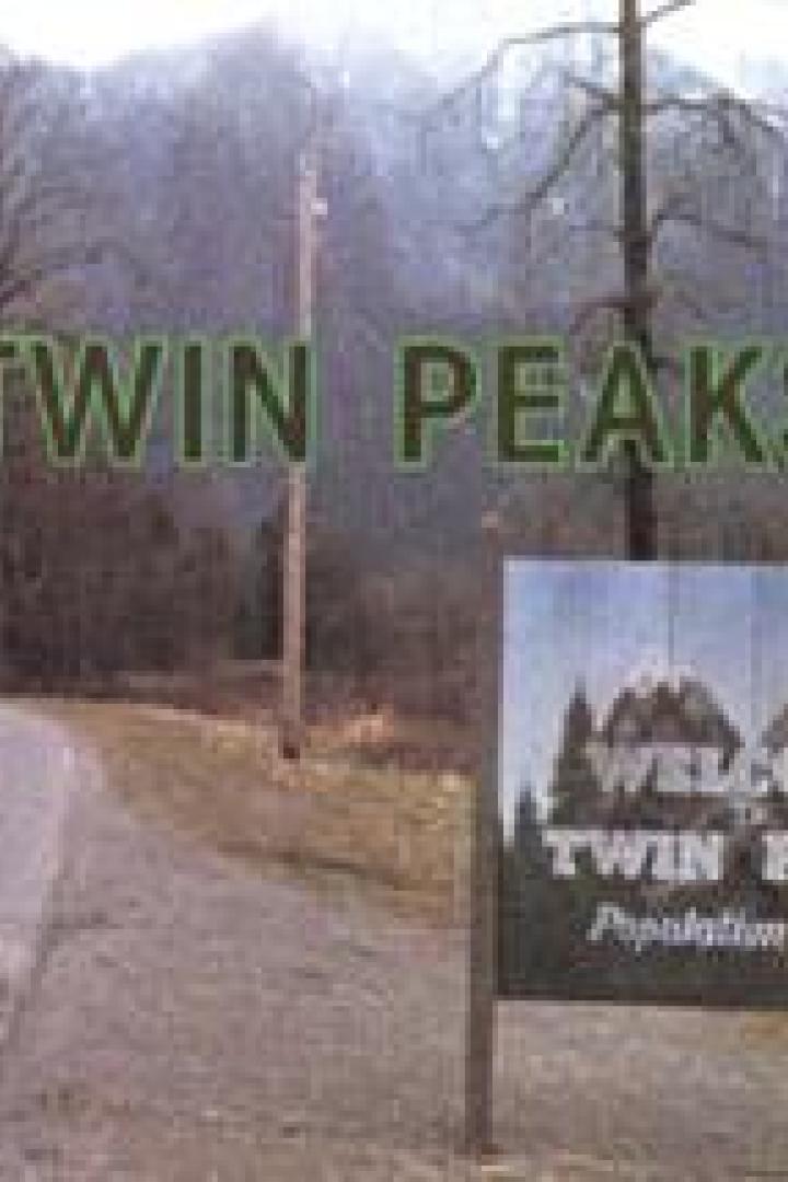 Twin Peaks - Die Serie