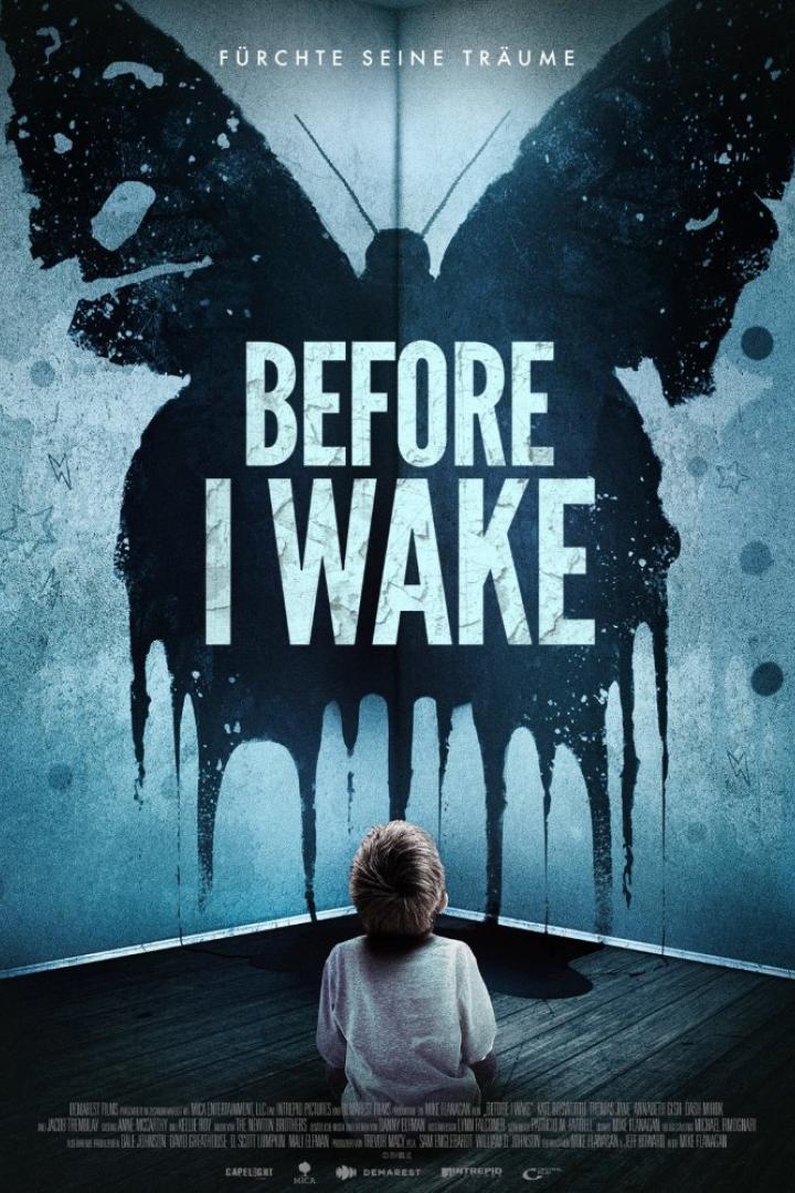 before-i-wake-plakat