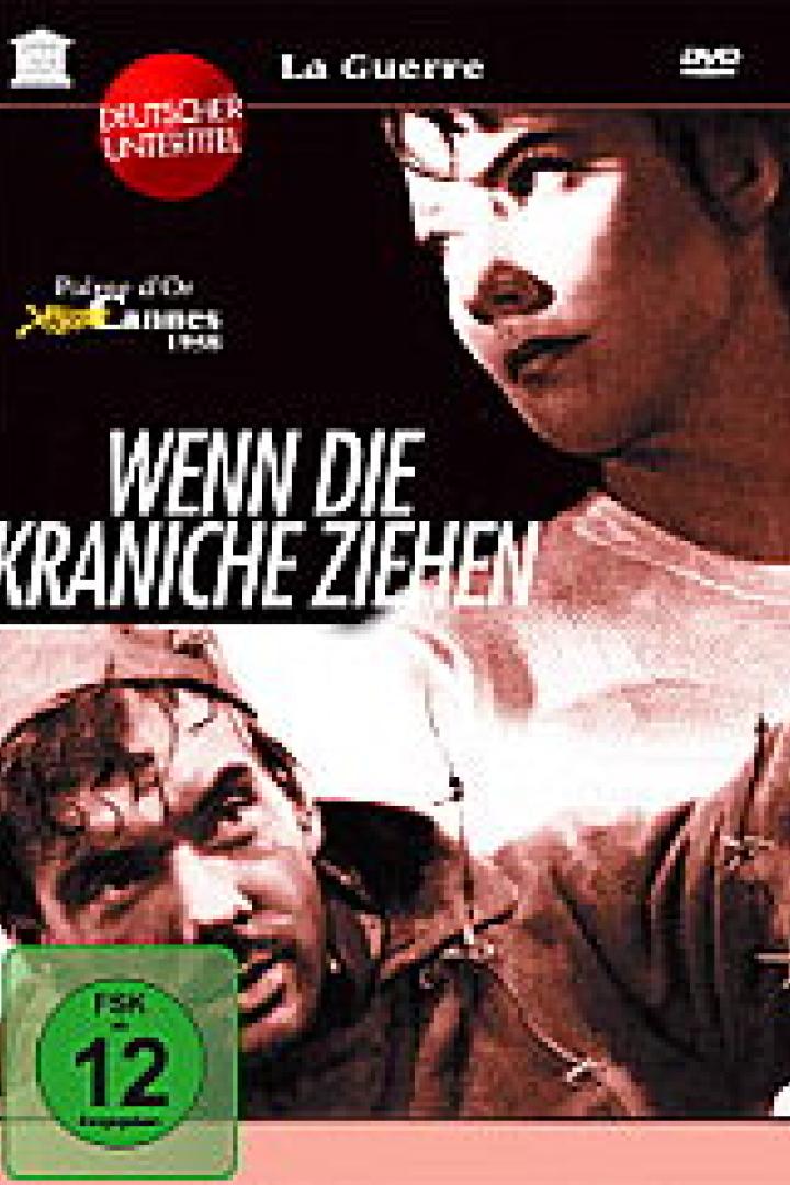 Das Cover des Films „Wenn die Kraniche ziehen“ zeigt zwei Personen vor einem roten Hintergrund.
