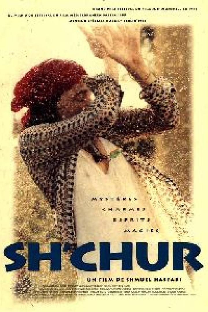 sh-chur-plakat