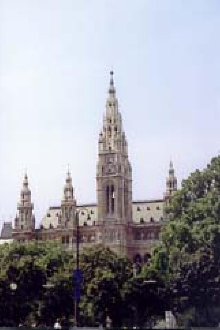 Das Wiener Rathaus mit seinem markanten Turm, umgeben von Bäumen.