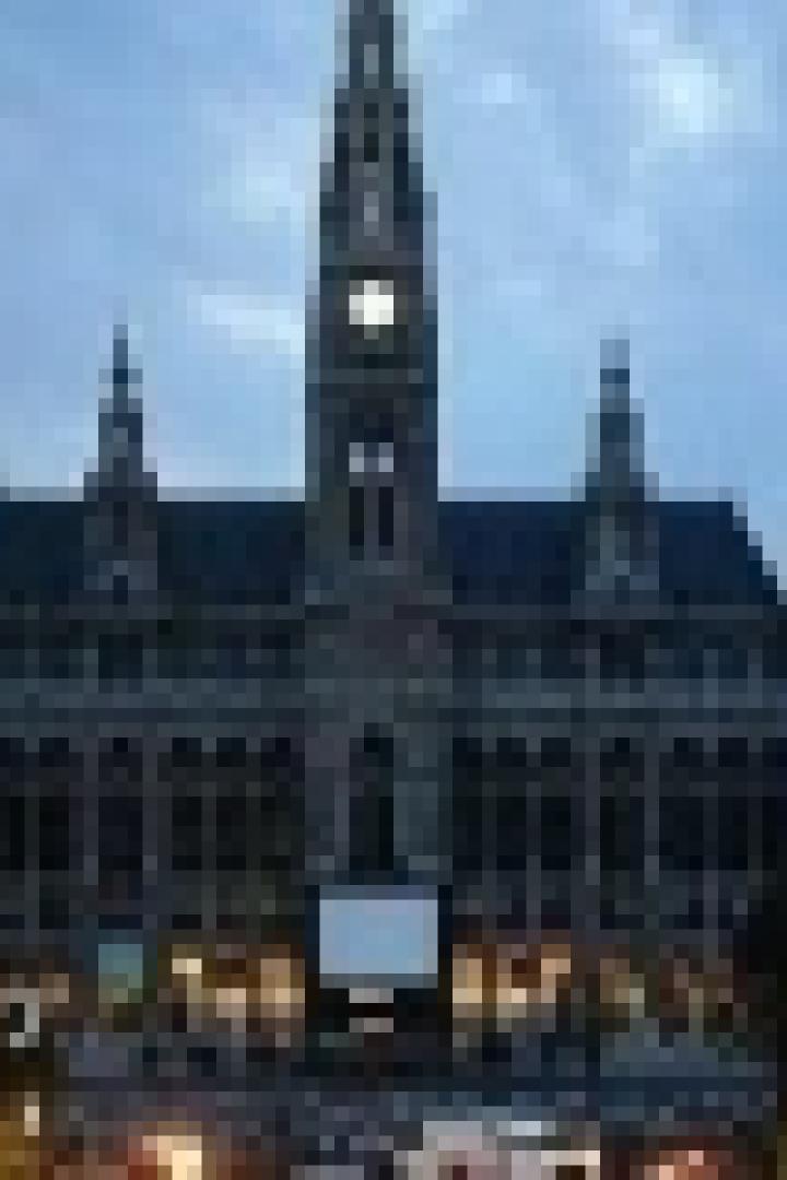 Das Wiener Rathaus bei Dämmerung.