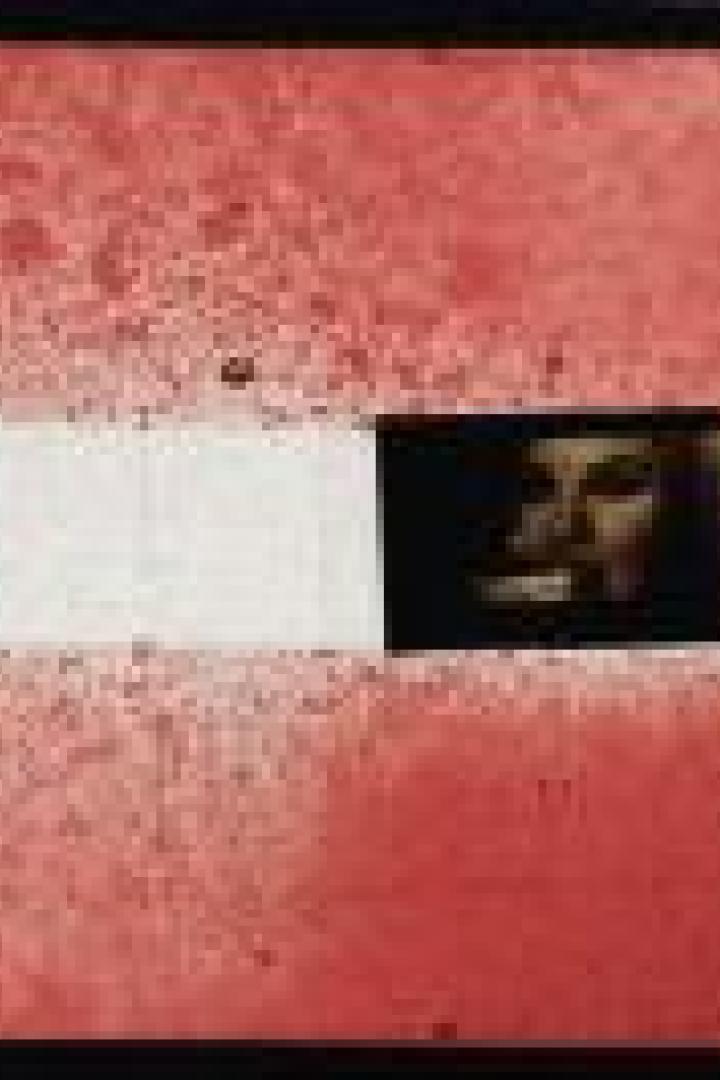 Ein verfremdetes Porträt einer Frau in einem roten Rahmen.