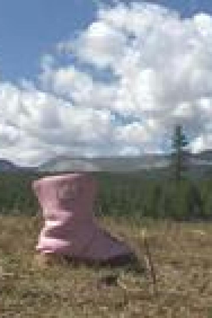 Ein einzelner rosa Stiefel steht auf einem Feld mit Bäumen und Bergen im Hintergrund.