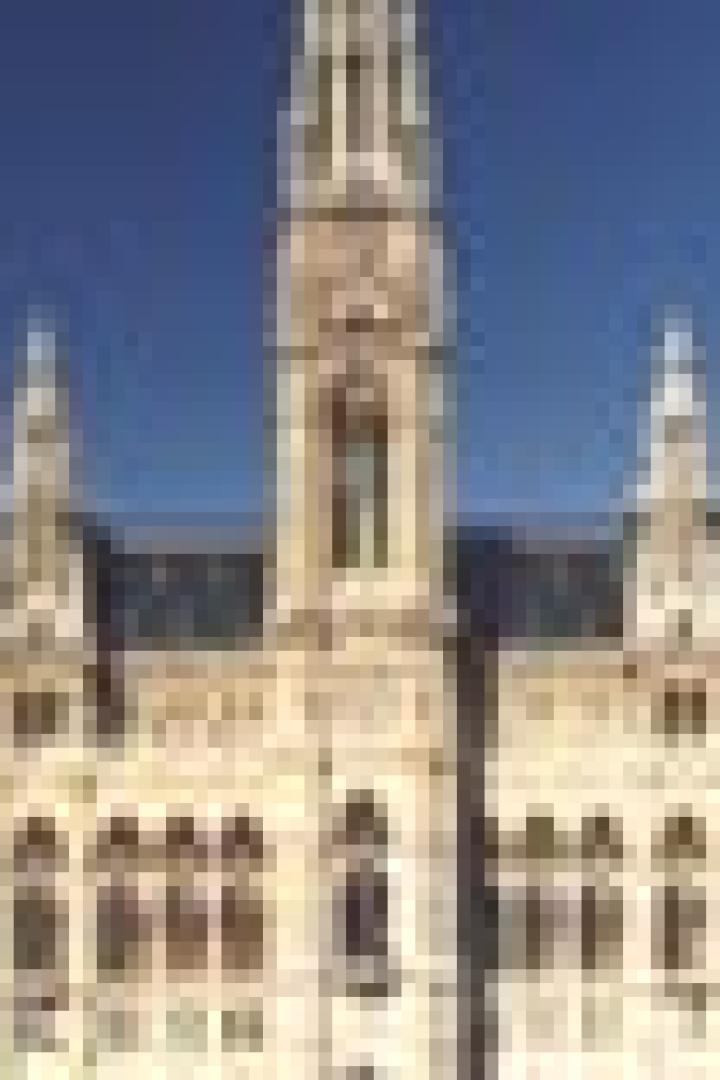 Das Wiener Rathaus mit seinem markanten Turm unter blauem Himmel.