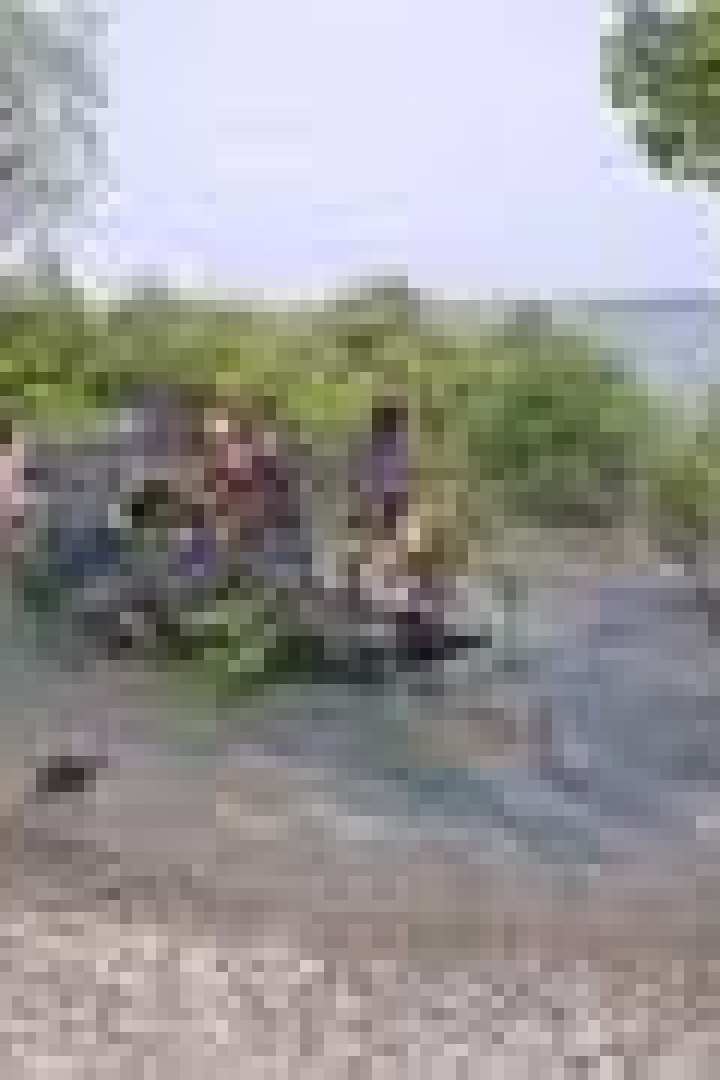 Eine Gruppe von Menschen sitzt in einem kleinen Boot auf dem Wasser, umgeben von Bäumen.