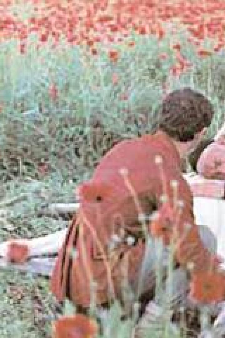 In einem Mohnfeld kümmern sich zwei Männer um eine bewusstlose Person, während ein Kind zusieht.