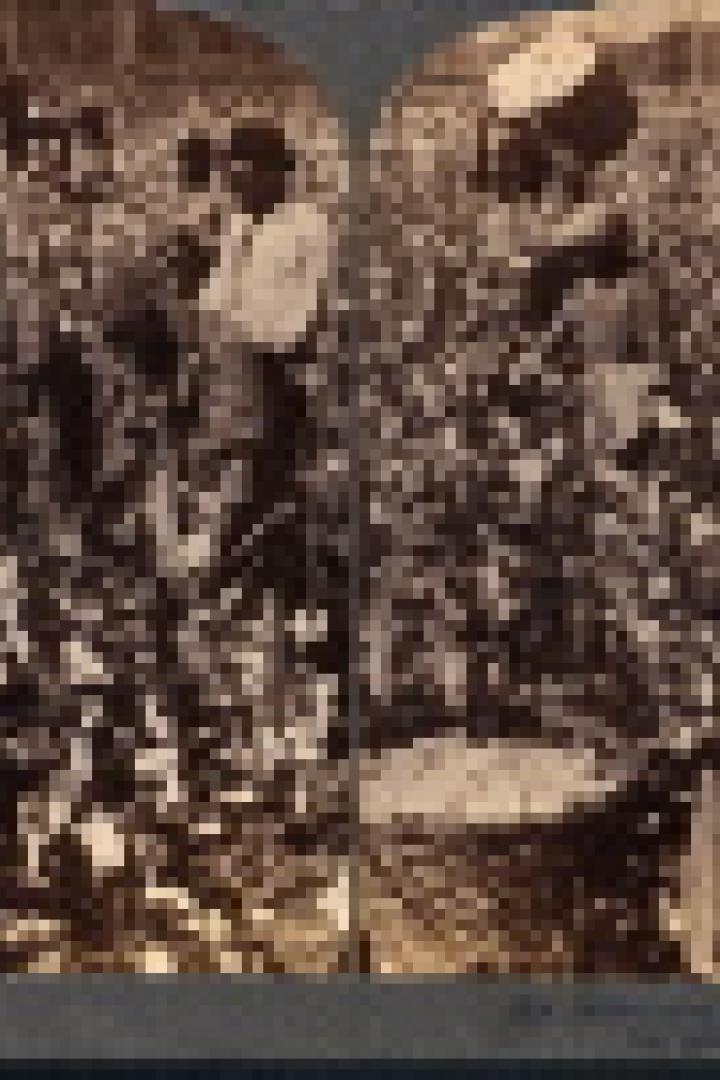 Eine Gruppe von Baumwollpflückern arbeitet auf einem Feld.