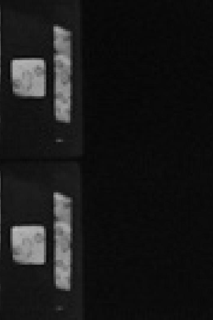 Eine Schwarz-Weiß-Aufnahme von zwei Monitoren, die ein wissenschaftliches Experiment zeigen.