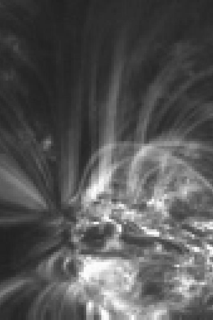 Brilliant Noise