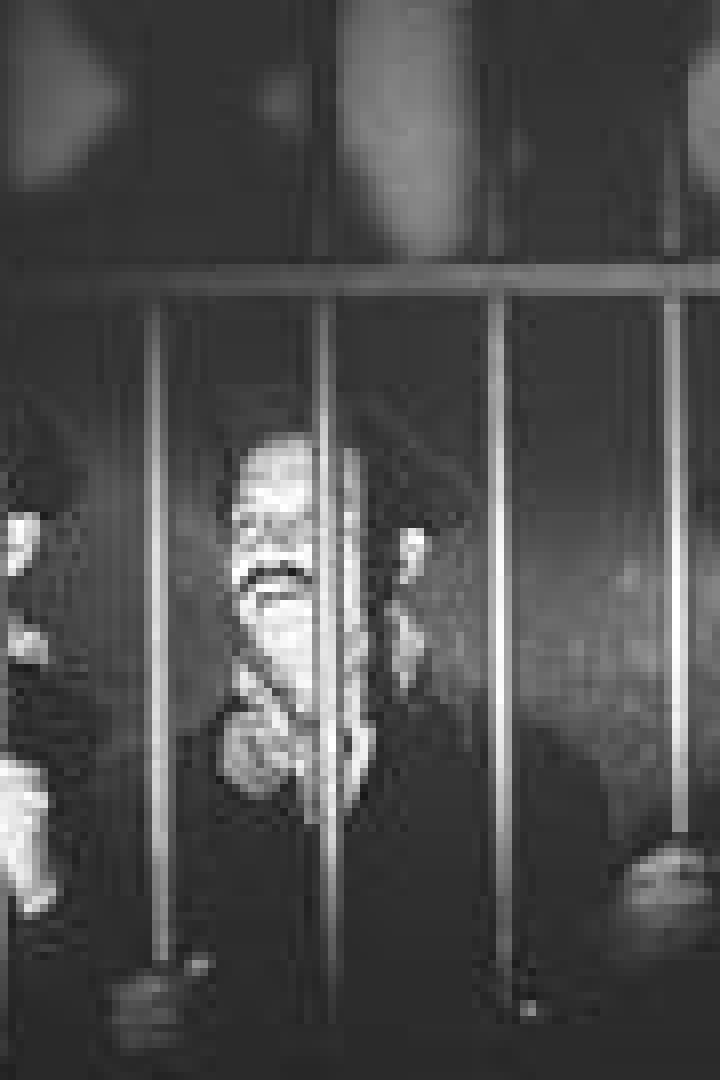 Drei Männer mit Hüten und falschen Bärten stehen hinter Gittern.