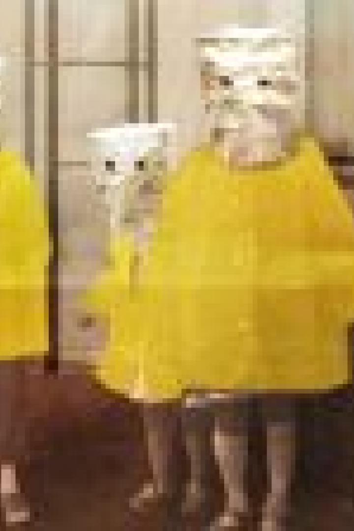Drei Personen in gelben Regenmänteln und mit Papiertüten über dem Kopf stehen in einem Raum.
