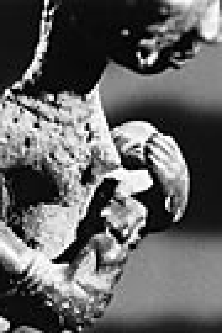 Eine dunkle Skulptur, die eine stilisierte menschliche Figur darstellt.