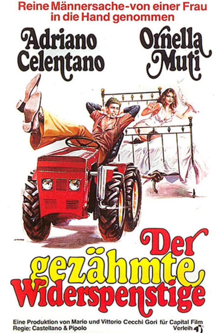 gezaehmte-widerspenstige-plakat