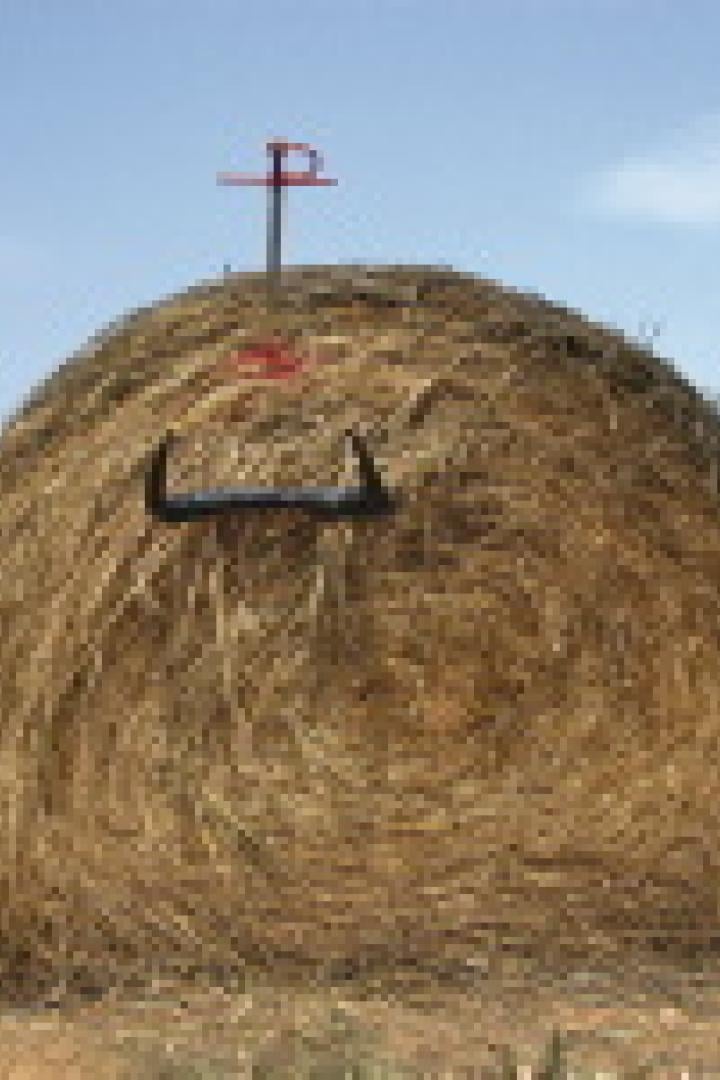 Ein großer Heuballen steht auf einem Feld unter blauem Himmel.