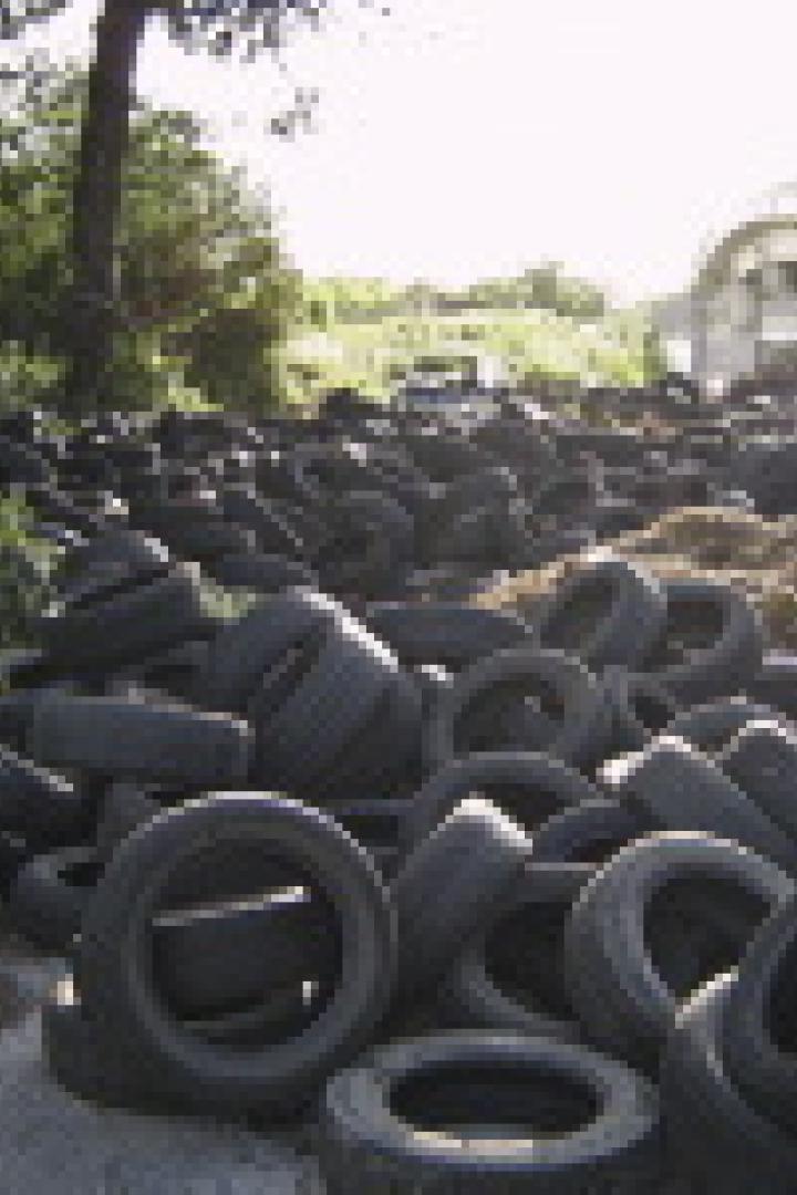 Ein Haufen alter Autoreifen liegt in der Natur.