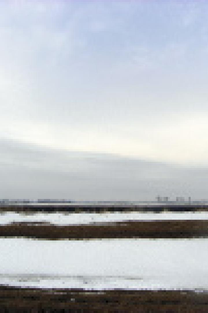 Eine verschneite Landschaft unter einem bewölkten Himmel.