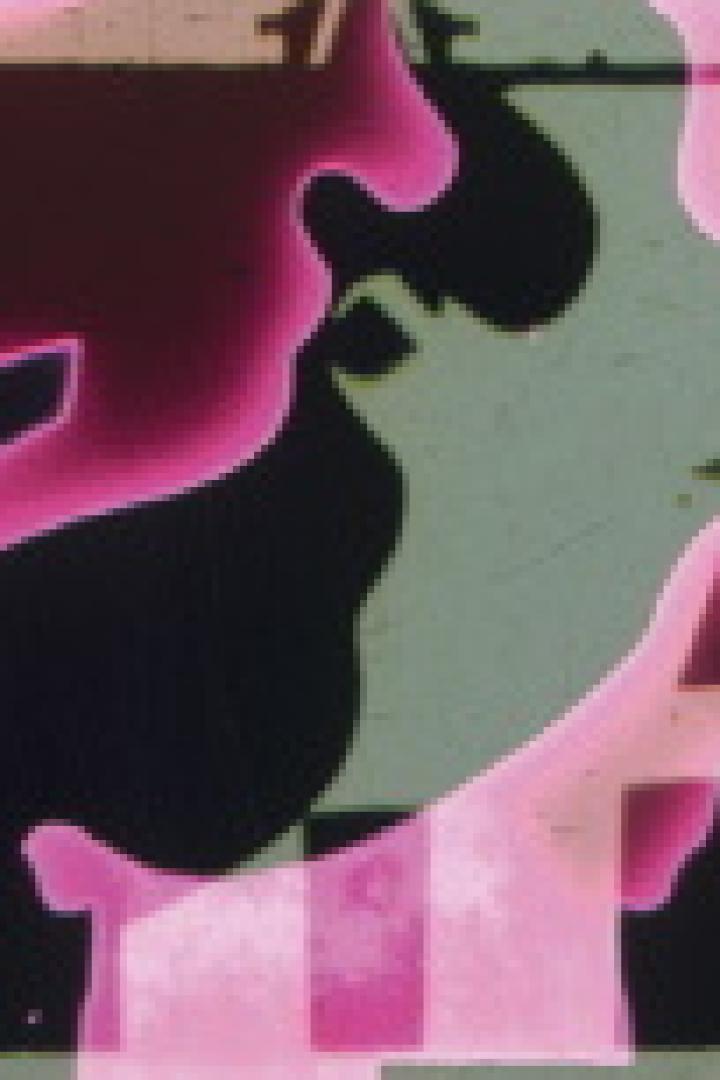 Eine abstrakte Darstellung mit pinkfarbenen und schwarzen Formen, die an ein Gesicht erinnern.