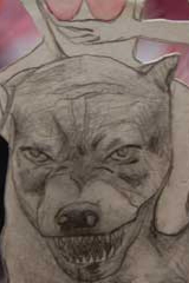 Eine gezeichnete Frau reitet auf dem Rücken eines grimmig dreinblickenden Pitbulls.