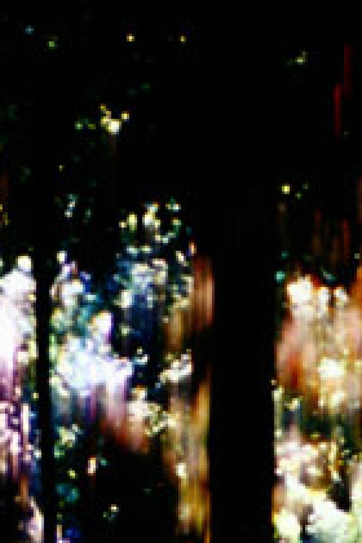 Abstrakte Darstellung von Bäumen und Lichtreflexionen in einem Wald.