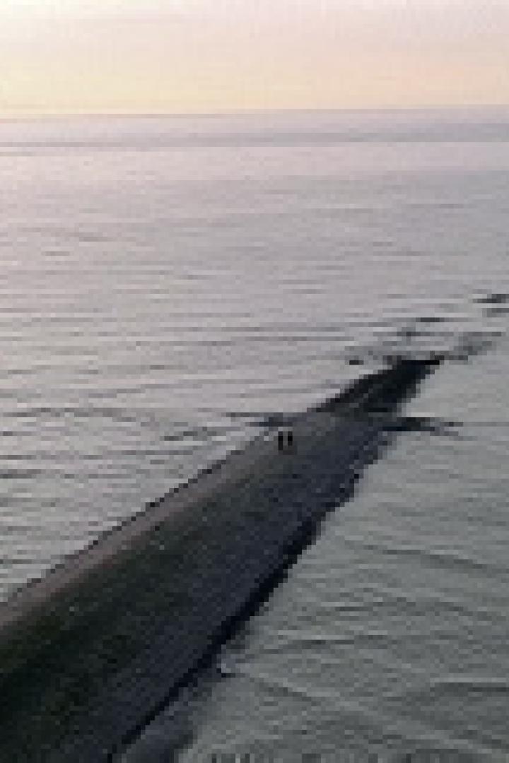 Ein langer Steg ragt ins Meer, am Horizont ist ein Schiff zu sehen.