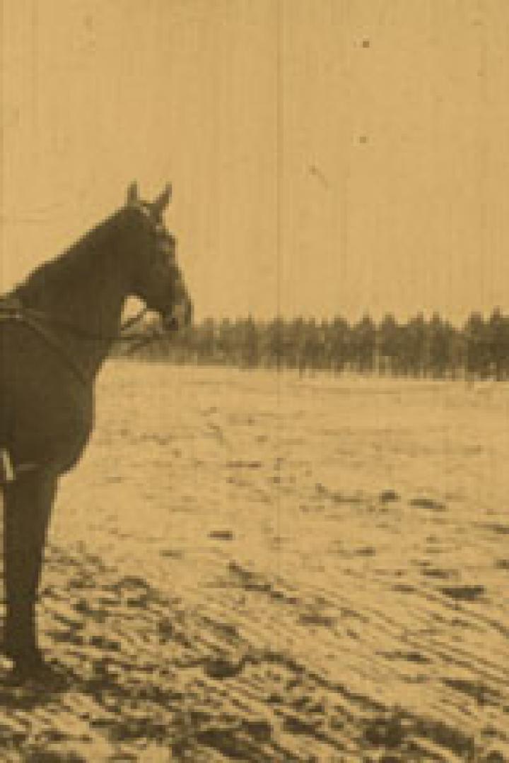 Ein Mann auf einem Pferd beobachtet eine lange Reihe von Soldaten in der Ferne.