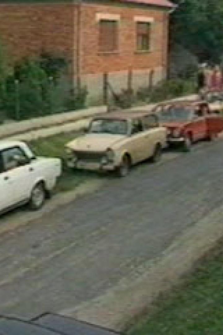 Eine Reihe geparkter Autos säumt eine Straße in einer ländlichen Gegend.