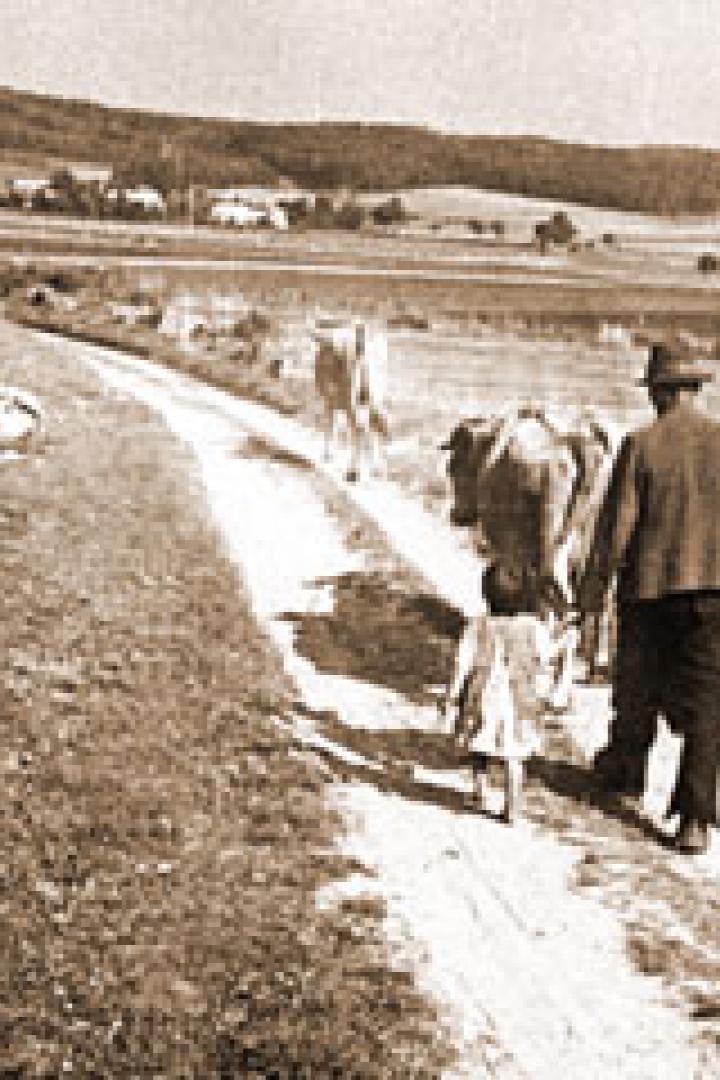 Das vergessene Grenzgebiet
