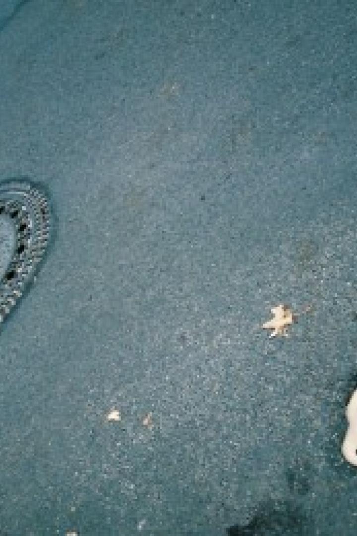 Ein Kanaldeckel und ein Schablonen-Hase liegen auf einer dunklen Asphaltfläche.