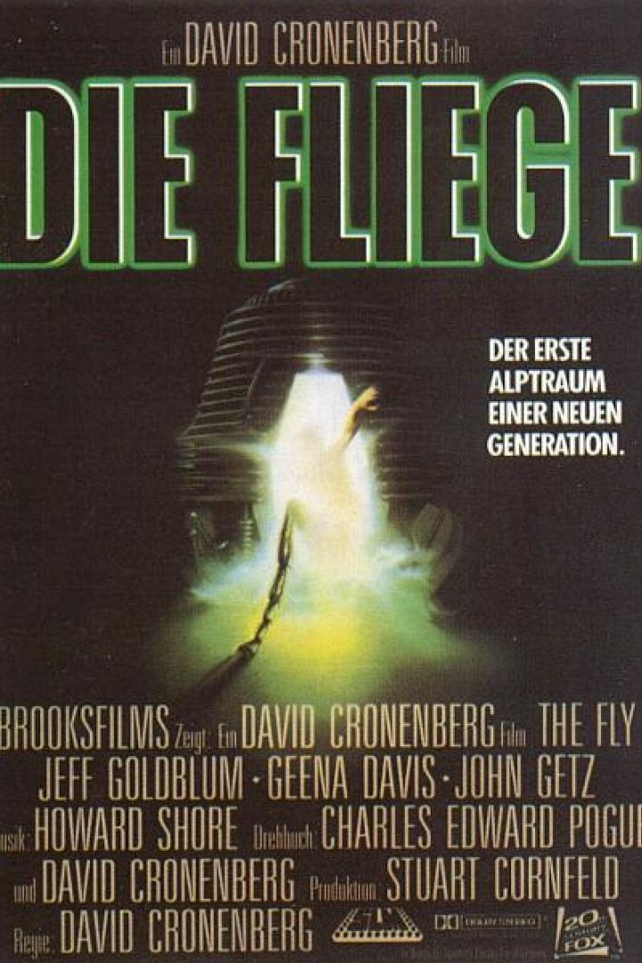 Die Fliege