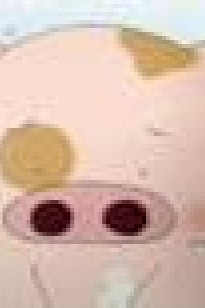 Ein Cartoon-Schwein mit braunen Flecken und geschlossenen Augen.