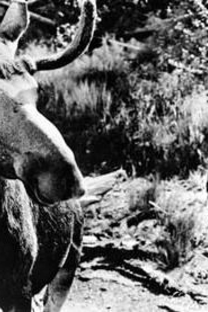 Ein Elch steht im Vordergrund, während im Hintergrund eine Person steht.