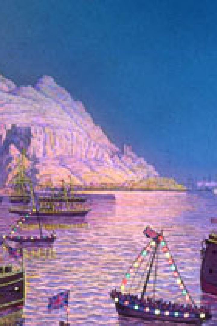 Mehrere Schiffe liegen nachts vor einer felsigen Küste vor Anker.