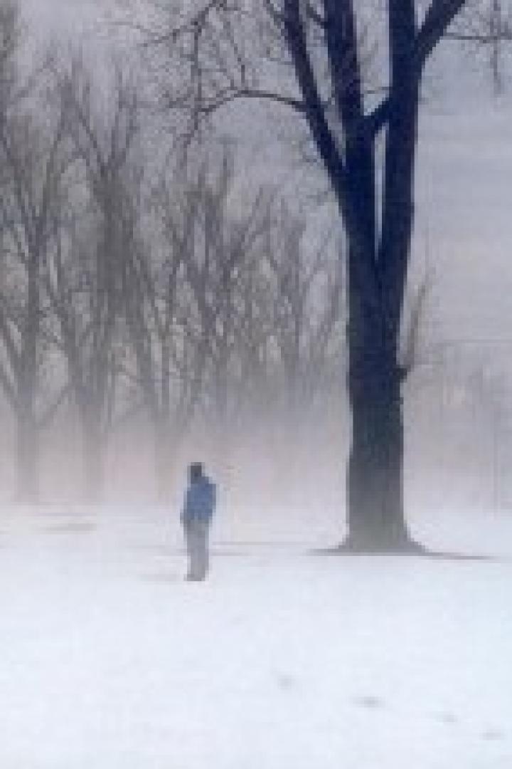 Eine Person steht in einer verschneiten Landschaft mit Bäumen und Nebel.