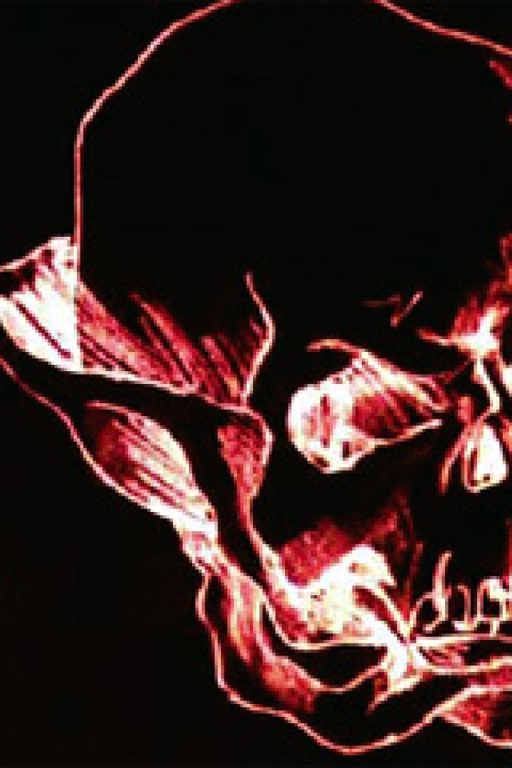 Eine rote, stilisierte Zeichnung eines Schädels und eines Knochens auf schwarzem Hintergrund.